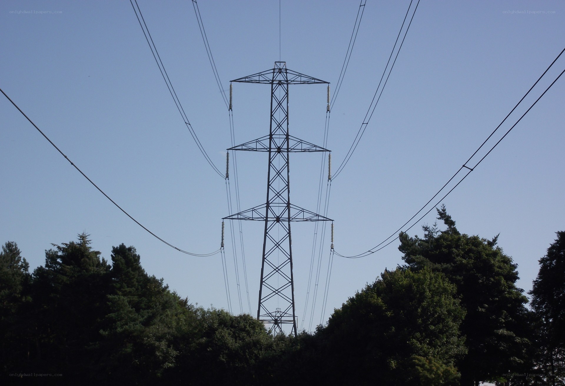 Electricity pylon in forest