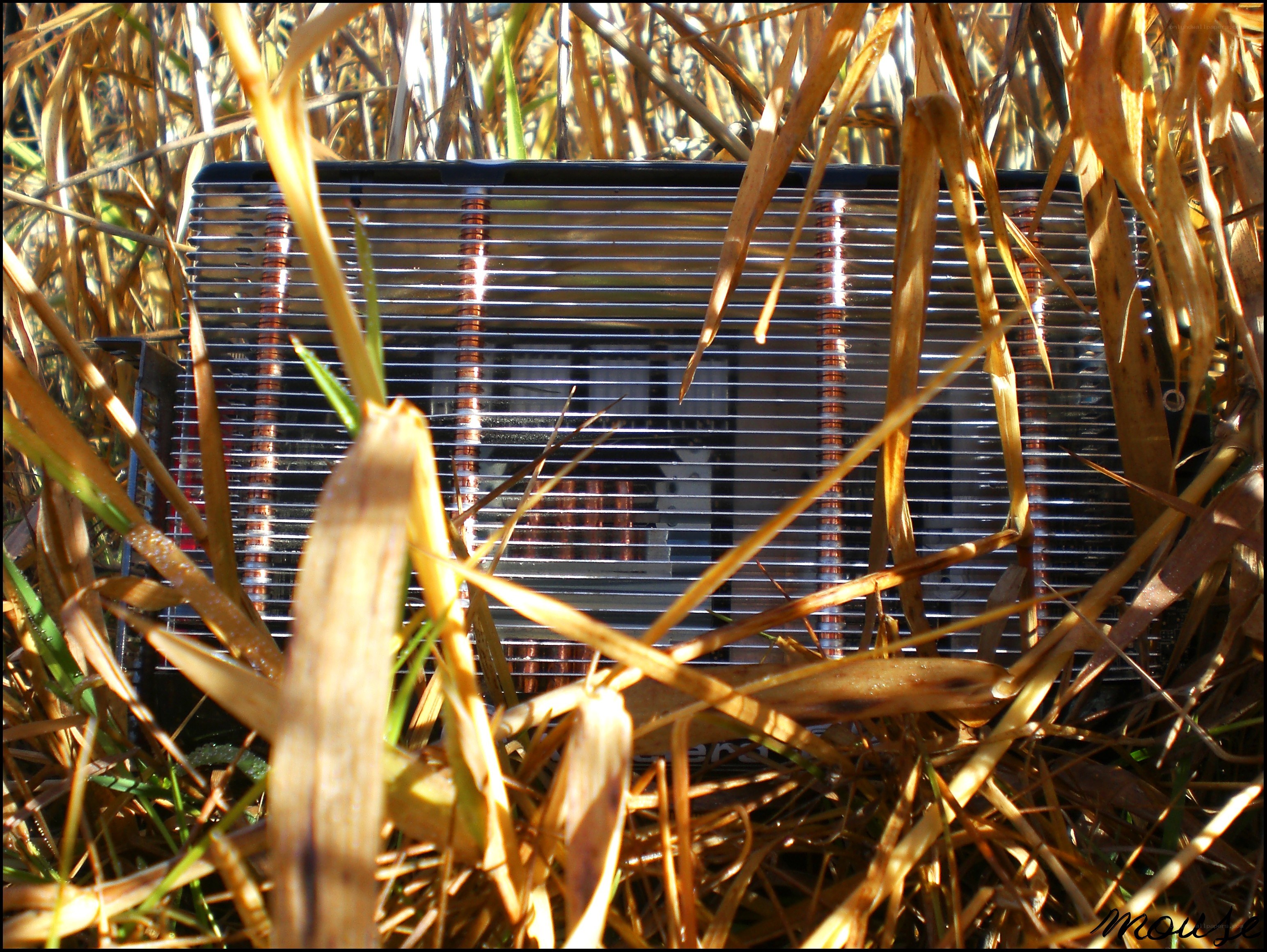 electronics in dry grass