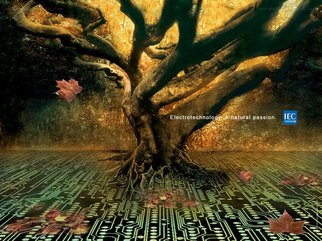 Electrotechnology and nature