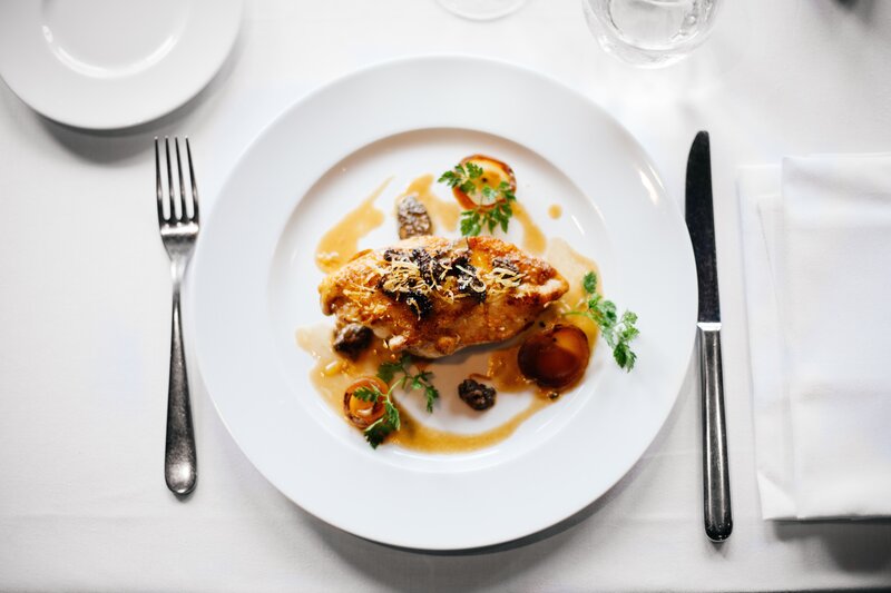 elegant chicken dish on white plate