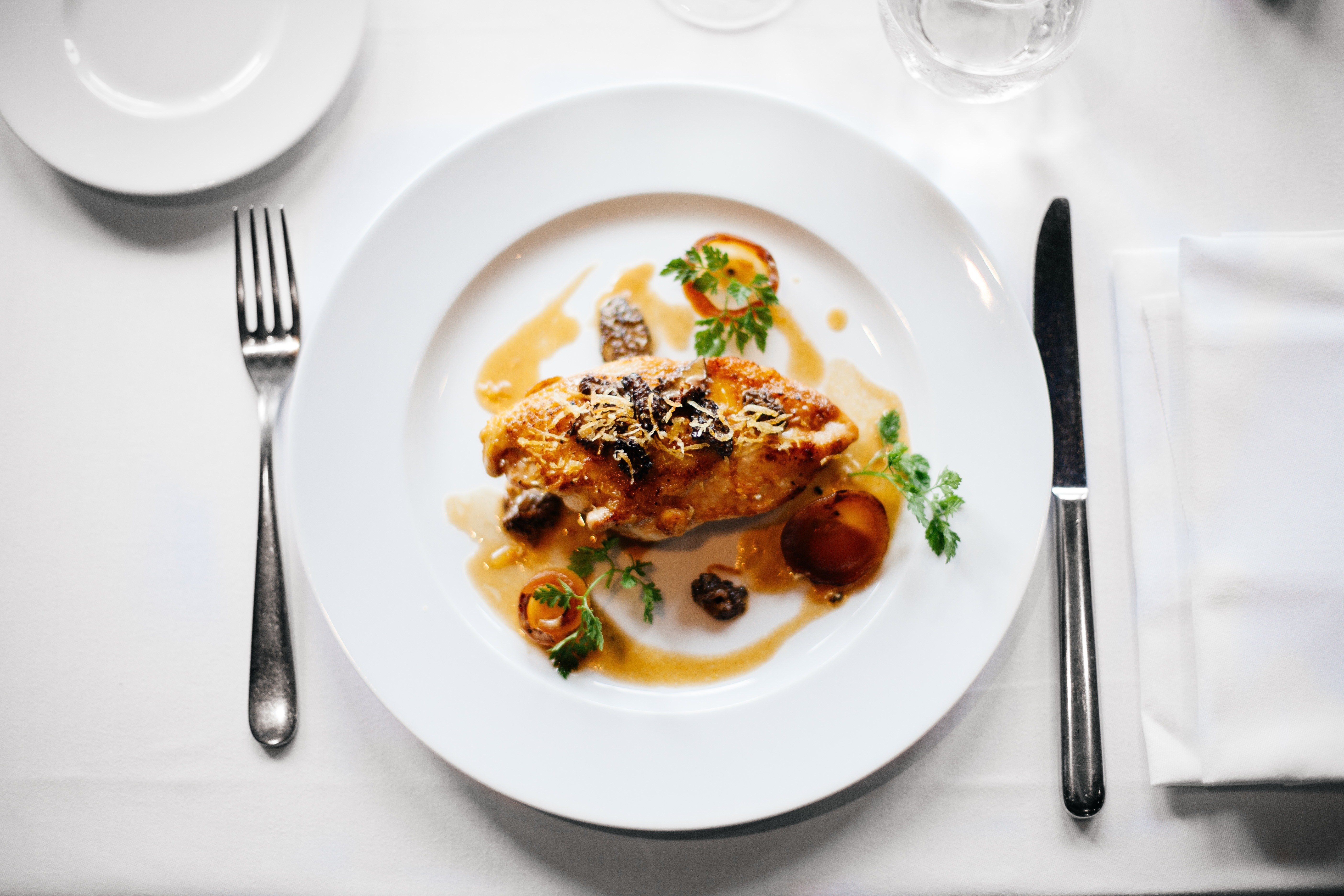 elegant chicken dish on white plate