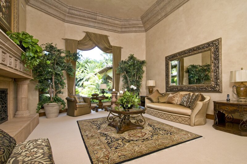 elegant living room with fireplace