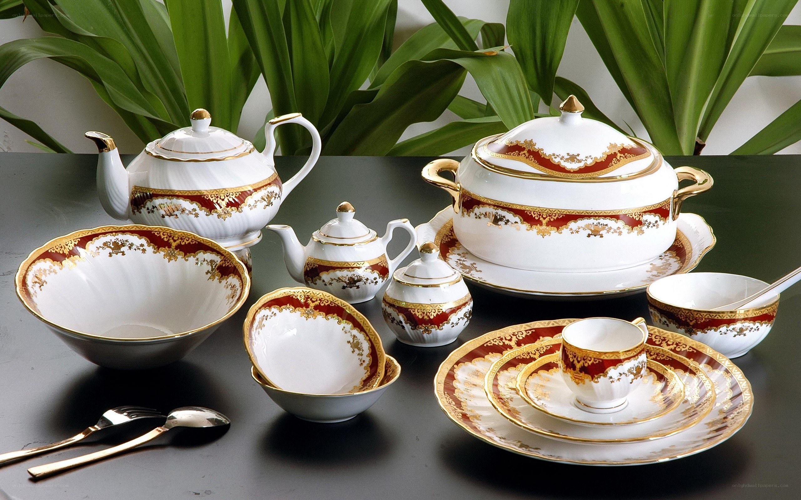 elegant porcelain tea set