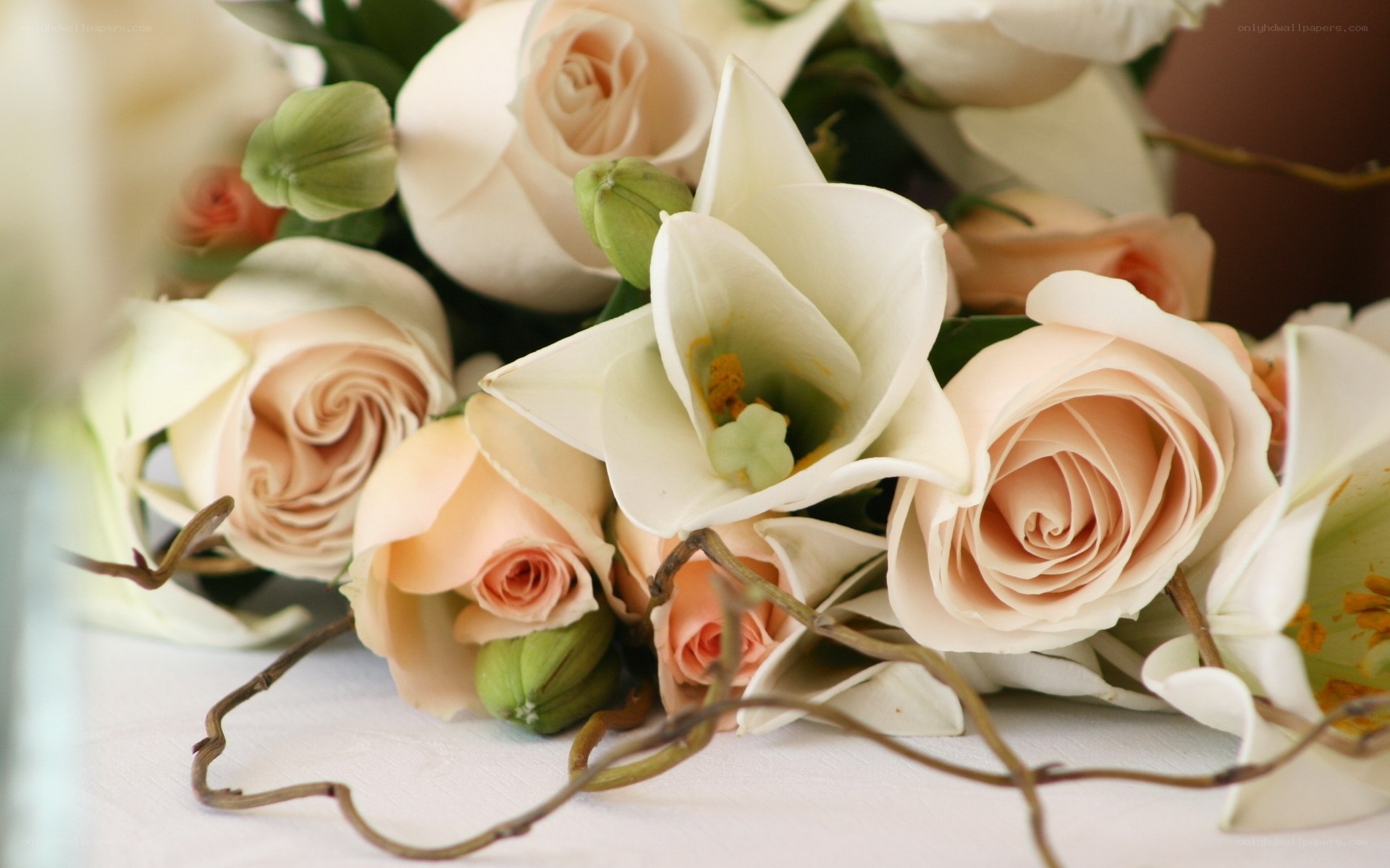 Elegant rose and lily bouquet