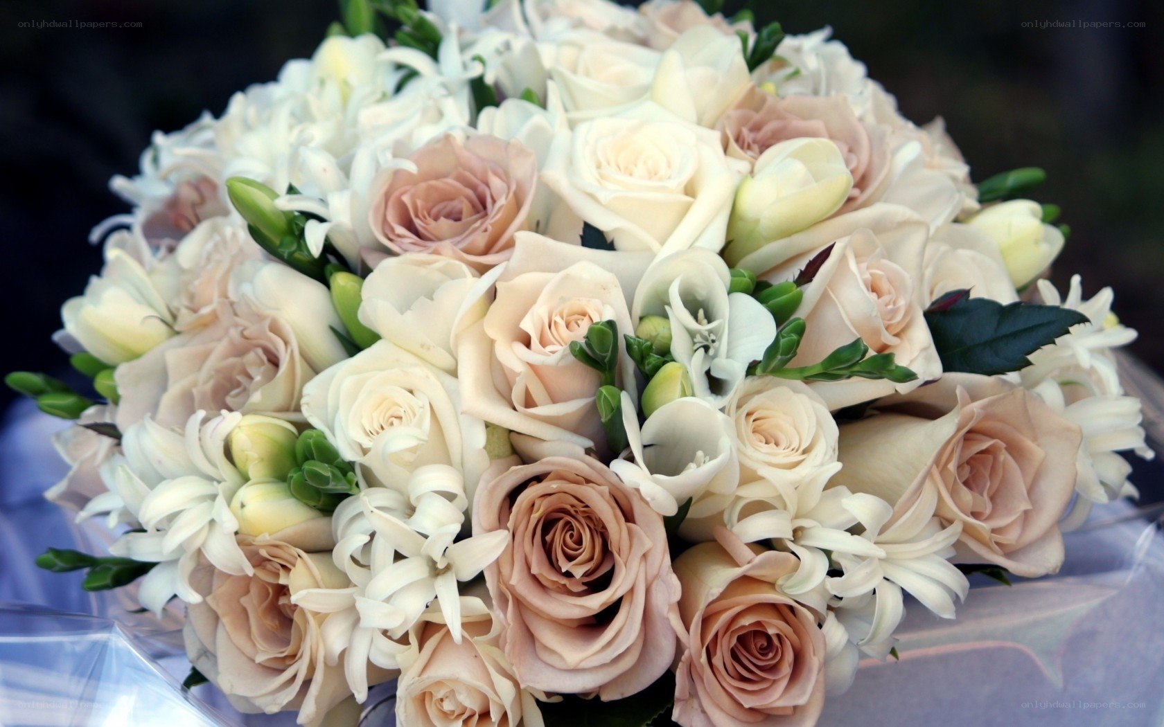 elegant rose bouquet