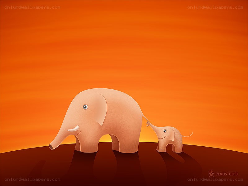 Elephant and calf at sunset