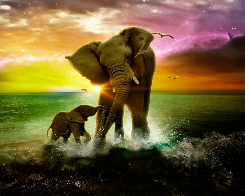 Elephant and Calf — Green, Dramatic, Sunset
