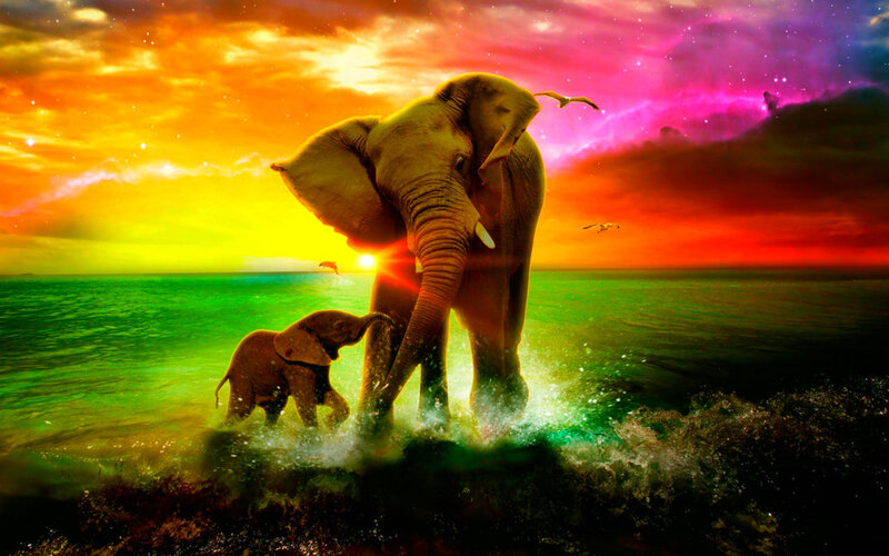 Elephant and Calf — Green, Dramatic