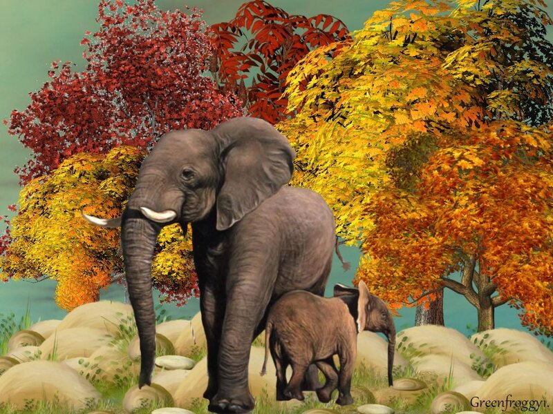 Elephant and Calf — Red