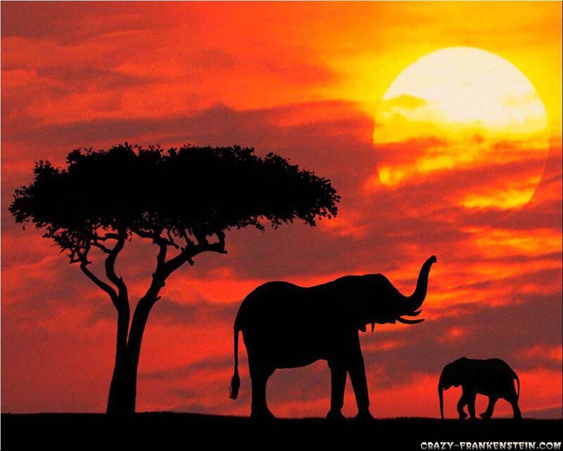 Elephant and Calf Silhouette — Red
