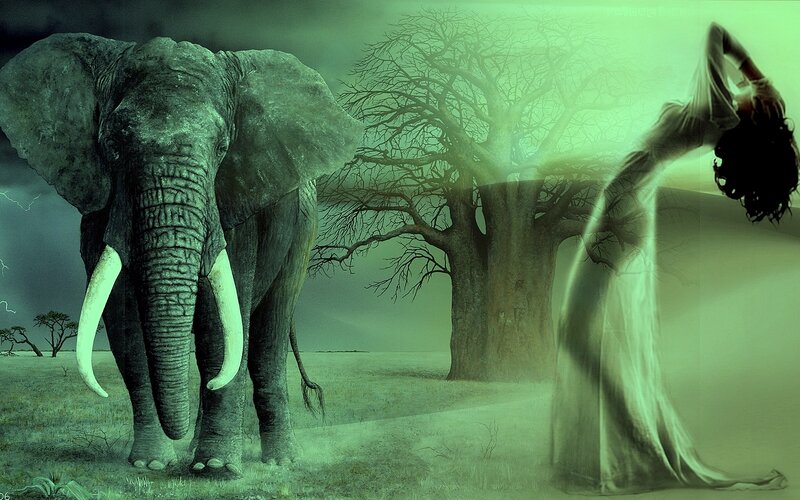 Elephant and Ghost Woman
