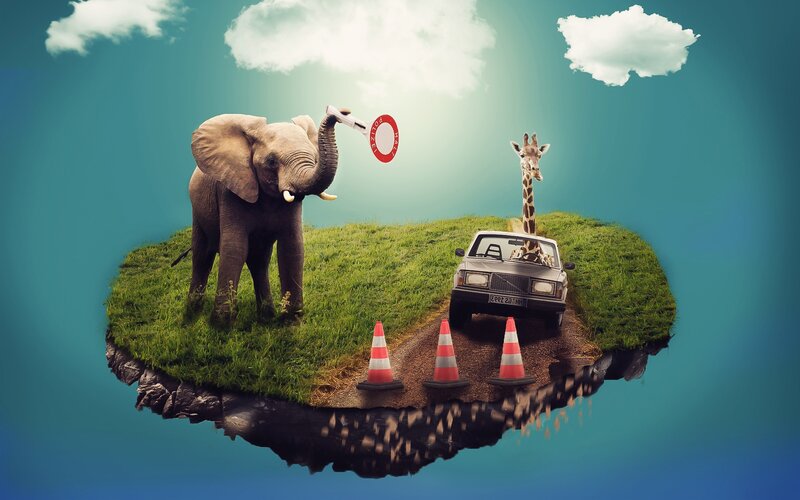 Elephant and Giraffe on Island