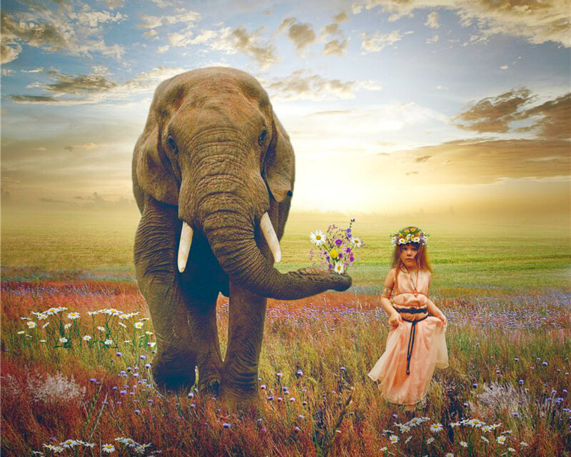 Elephant and Girl in Field