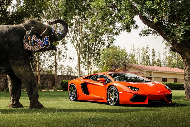 Elephant and orange sports car