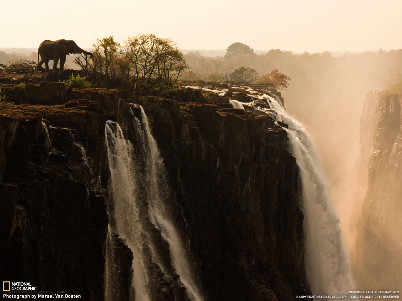 Elephant at Victoria Falls