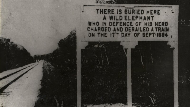 Elephant Burial Marker