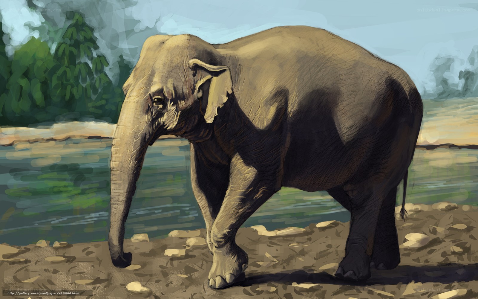 elephant by the river