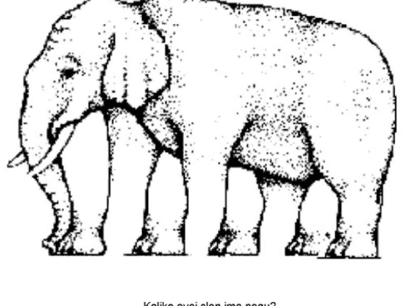 elephant coloring page