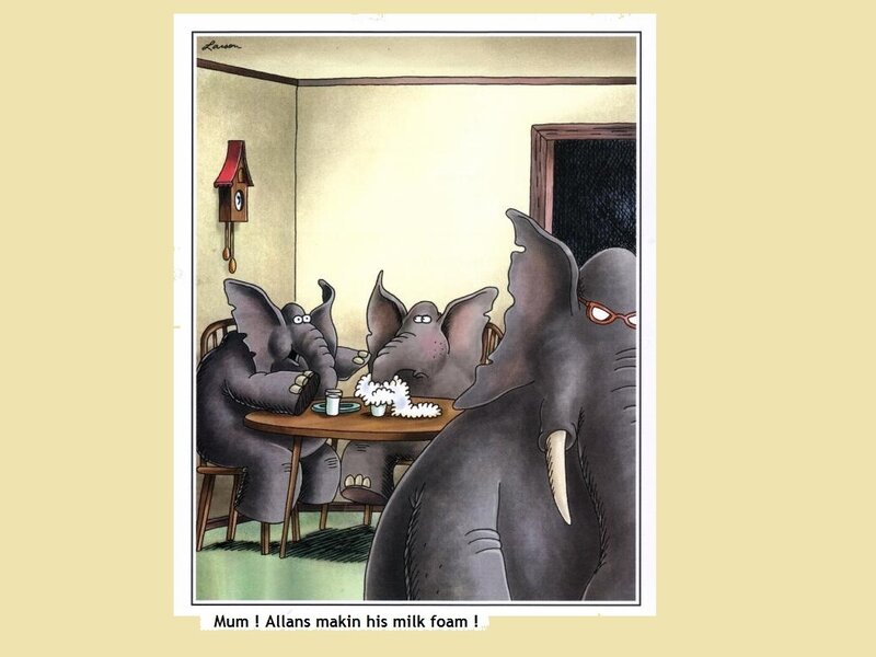 Elephant Family at Table