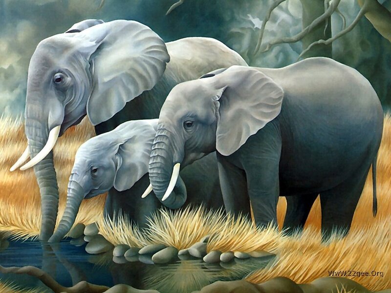 Elephant Family at Water