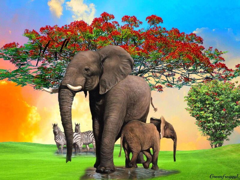 Elephant Family in Field — Green
