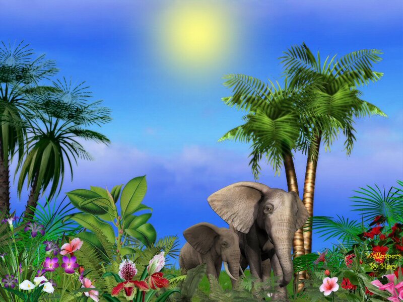 Elephant Family in Jungle