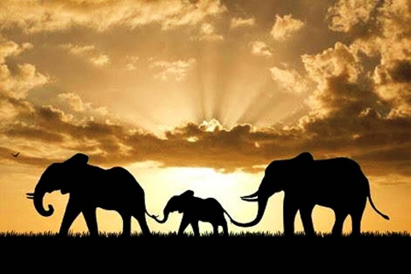 Elephant Family Silhouette — Gold