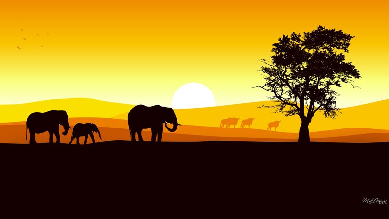 Elephant Family Silhouette — Orange, Serene