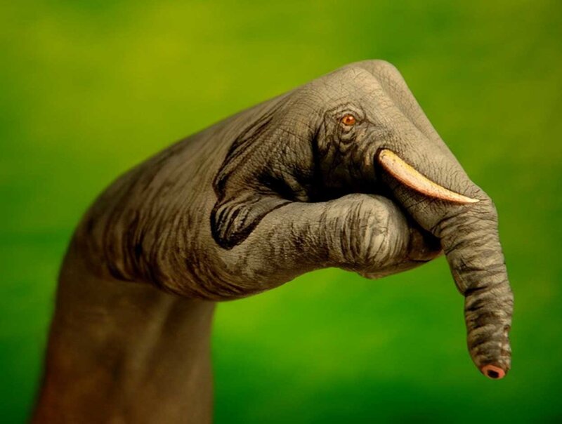 elephant hand art