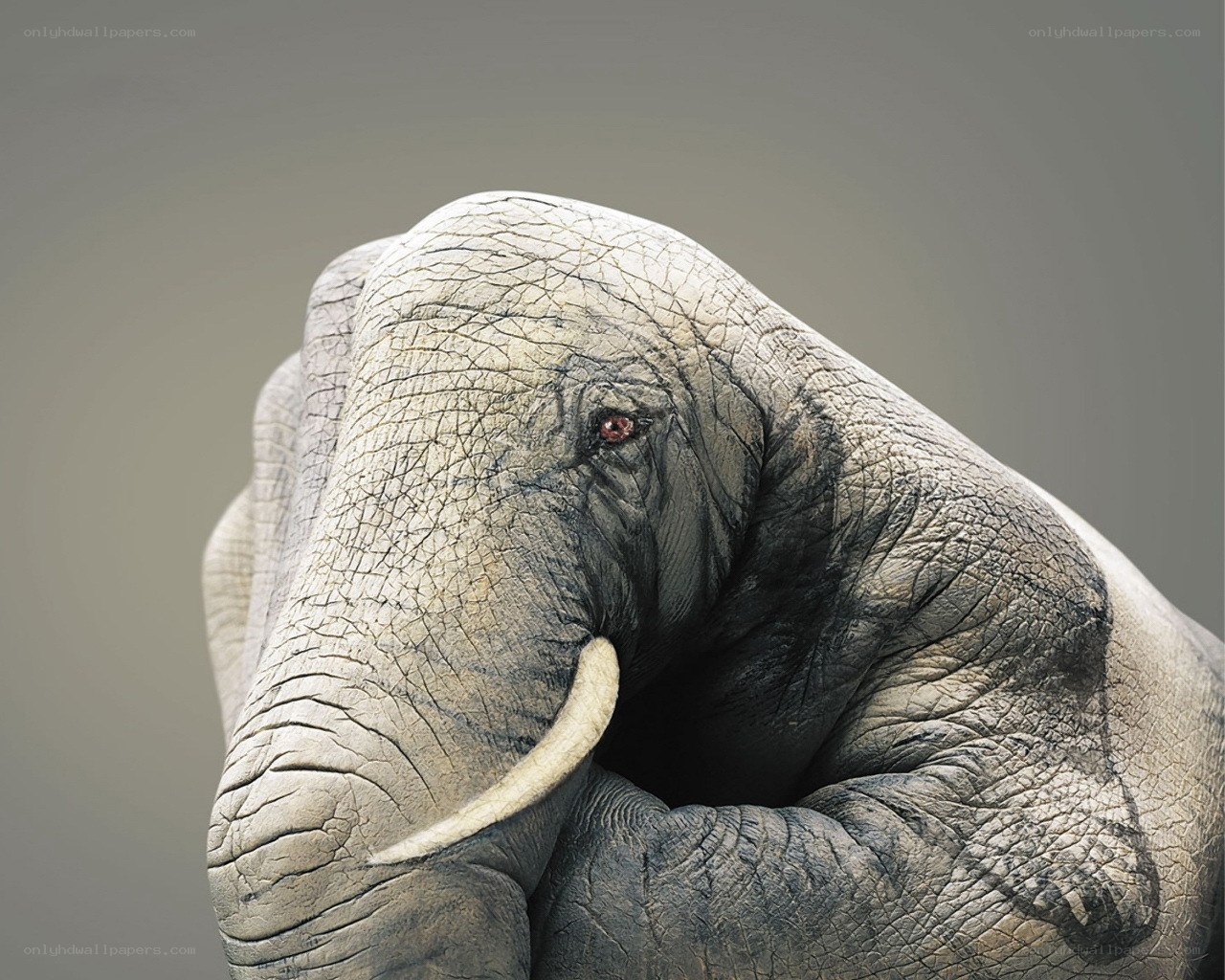 elephant hand sculpture