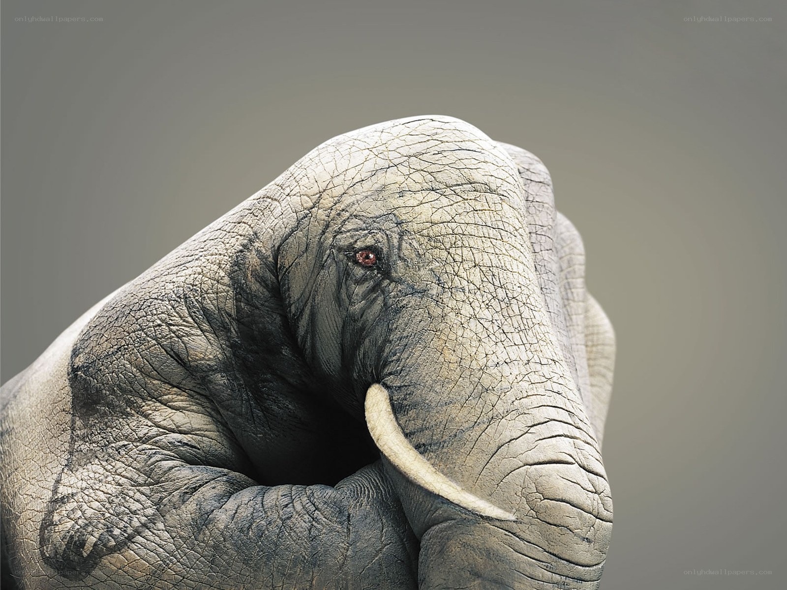 elephant hand sculpture