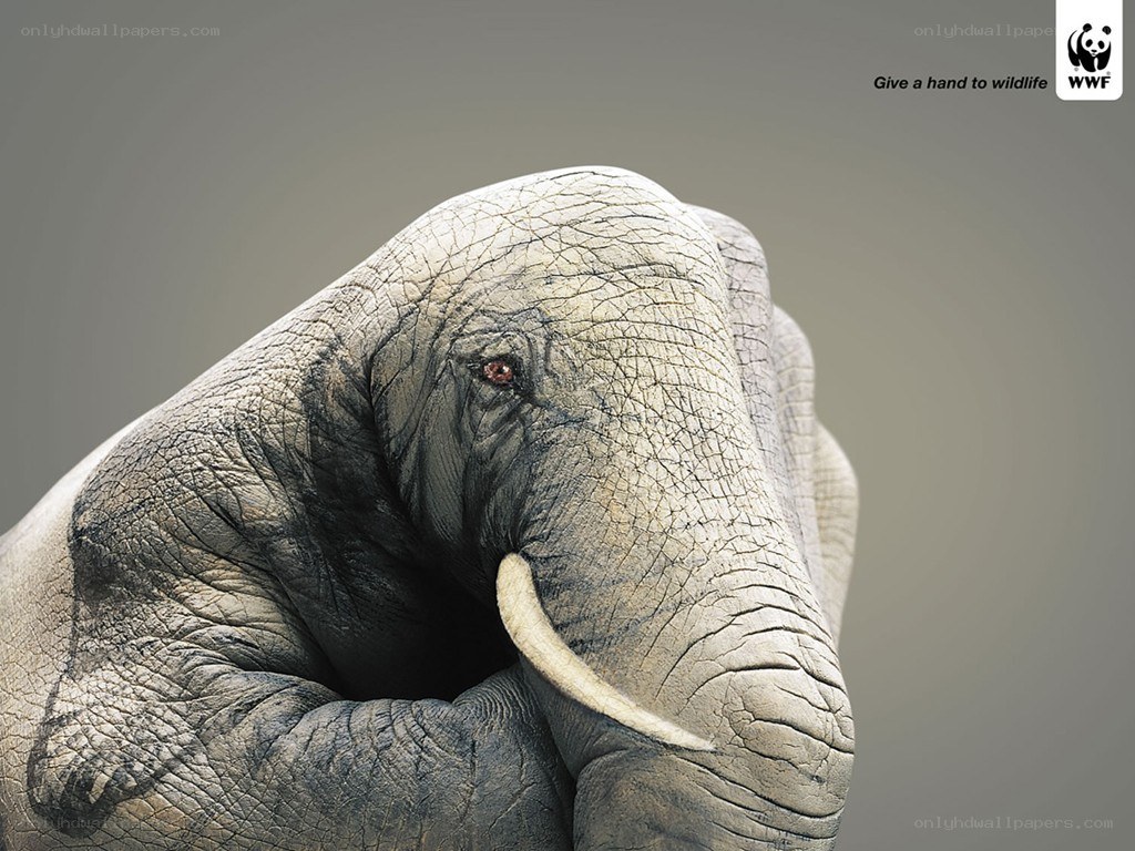 Elephant hand sculpture