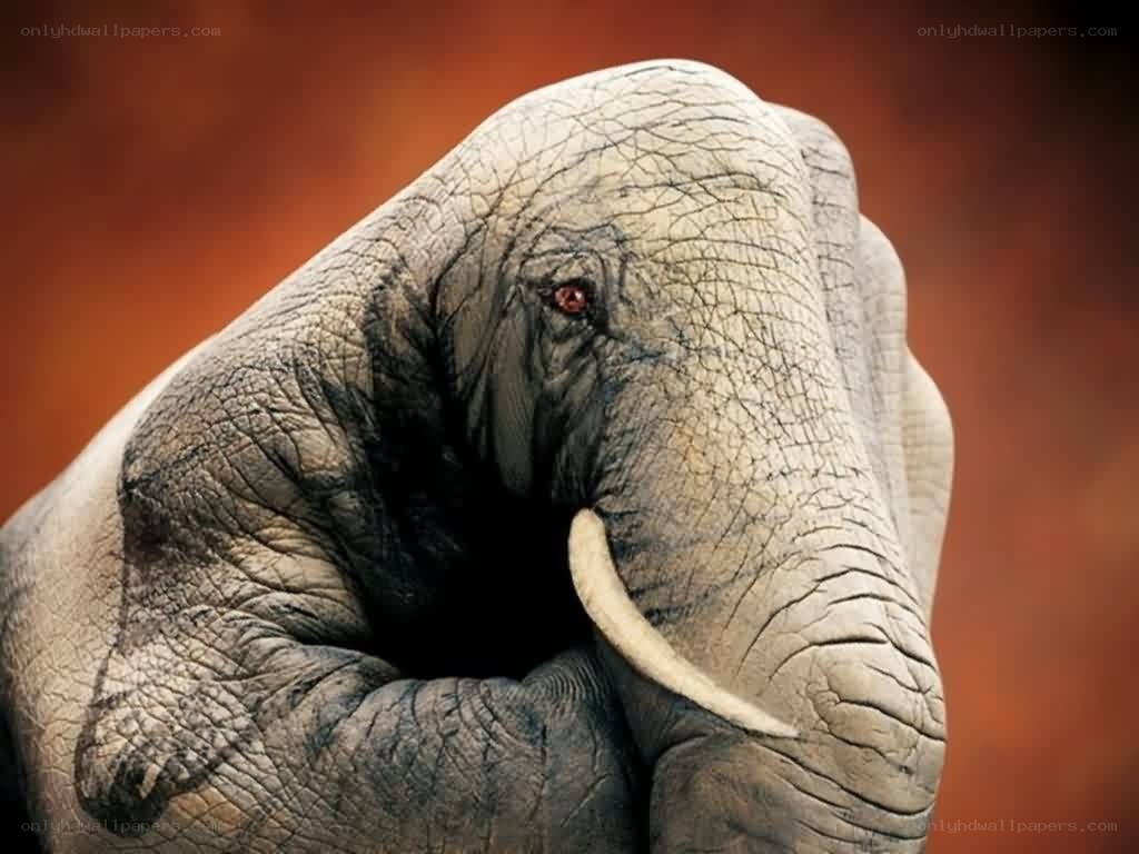 elephant hand sculpture