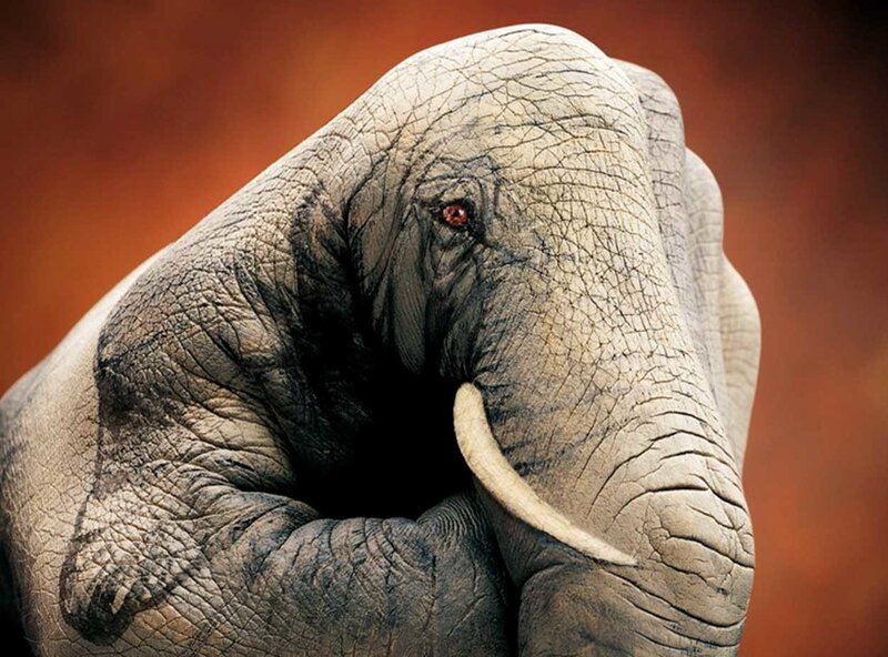 elephant hand sculpture