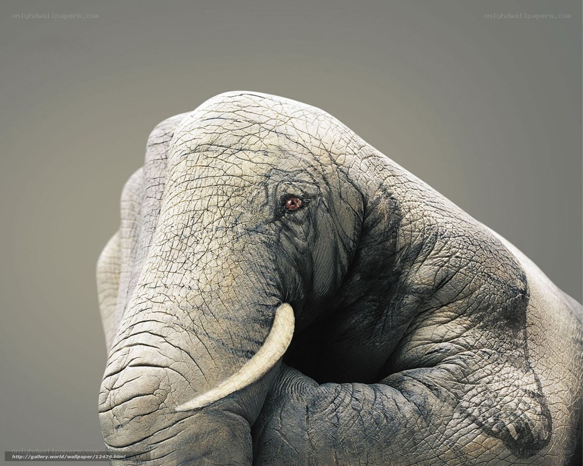 elephant hand sculpture