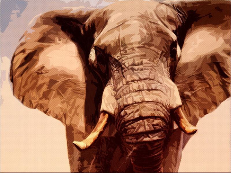 Elephant Head Close-up — Brown