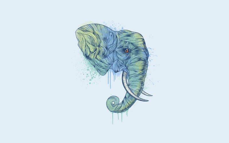 Elephant Head Illustration