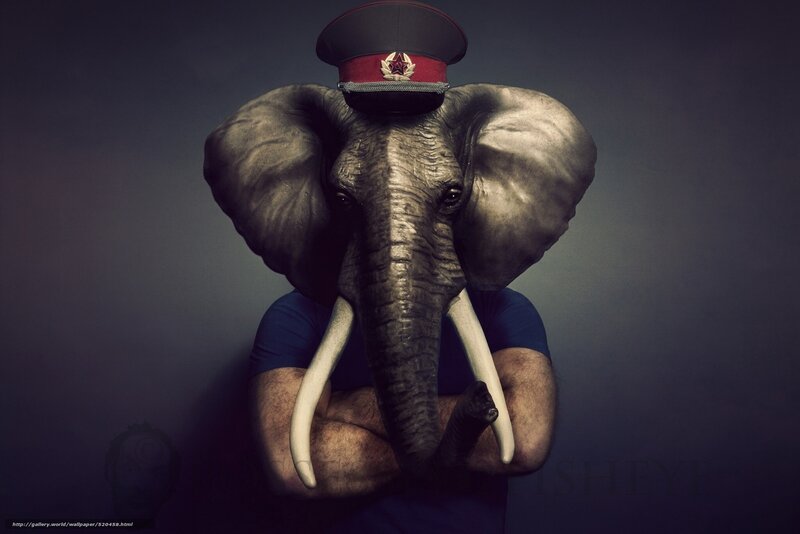 elephant-headed man in military hat