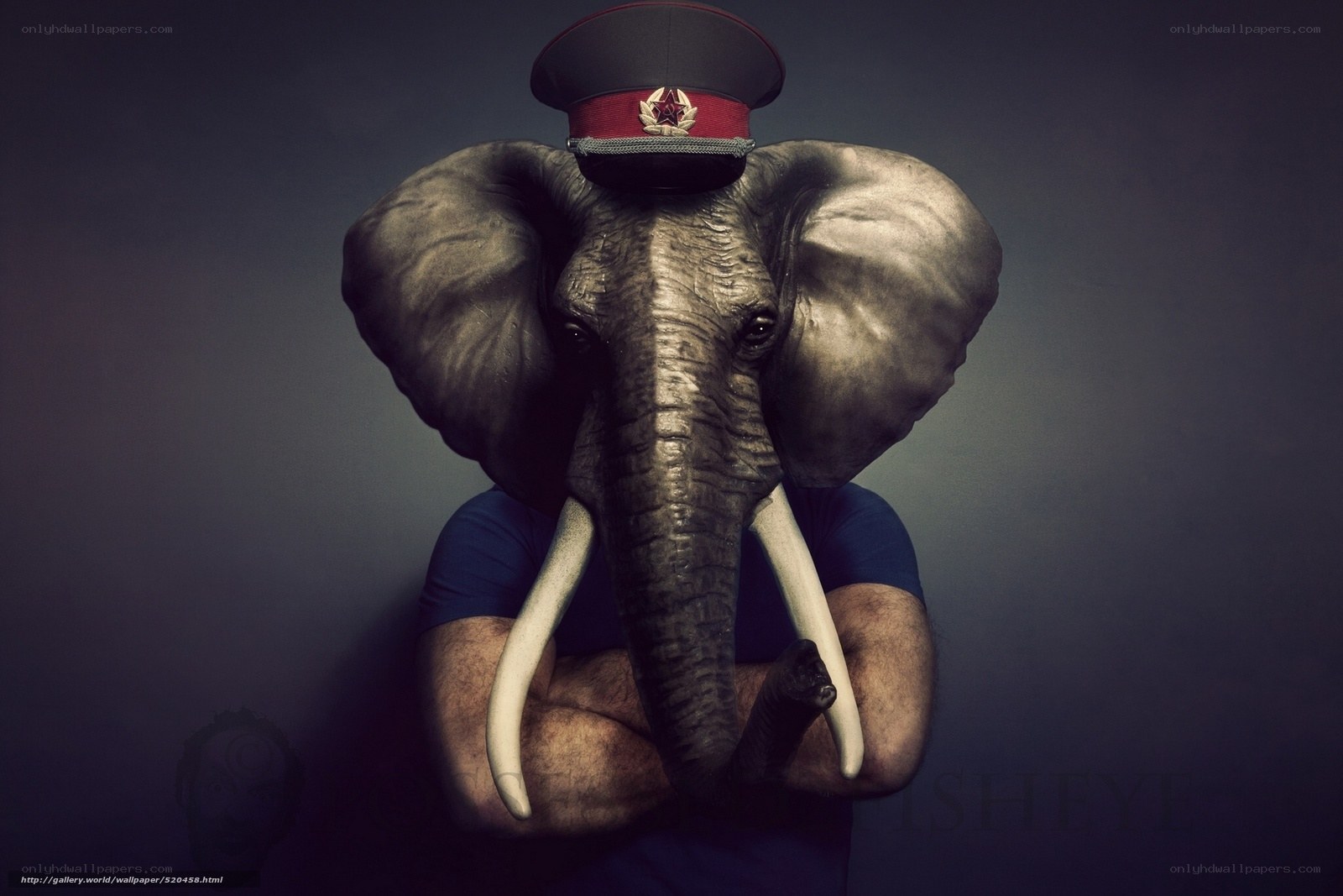 elephant-headed man in military hat