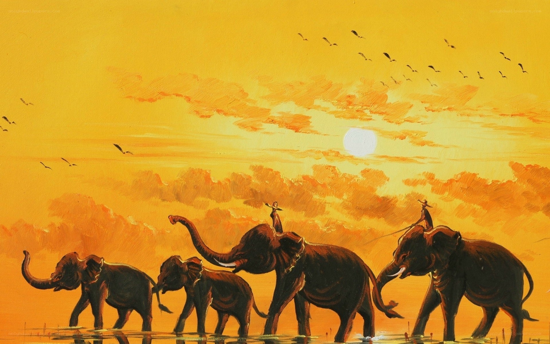 Elephant herd at sunset