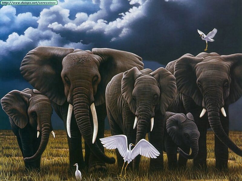 Elephant Herd in Grassland — Gray
