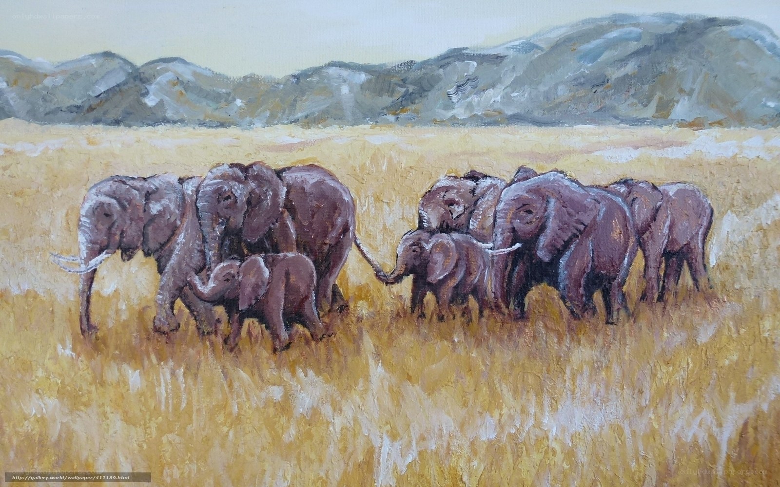Elephant herd in savanna