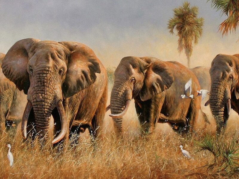 Elephant Herd in Savanna — Brown, Natural