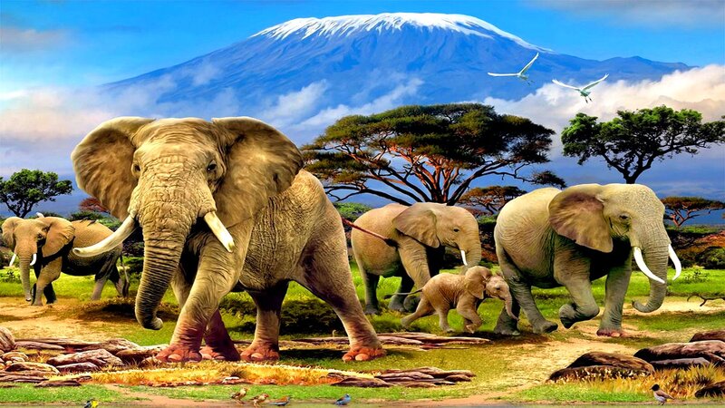 Elephant Herd in Savanna — Green, Serene, Afternoon, Digital Art