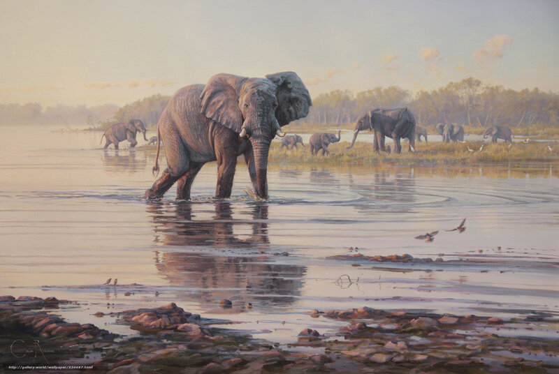 Elephant Herd in Water — Brown, Serene