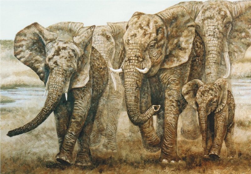 elephant herd walking