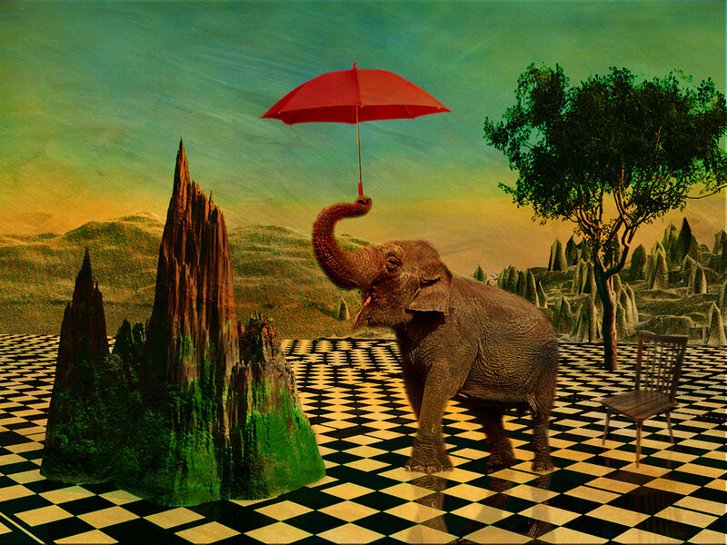 Elephant Holding Umbrella