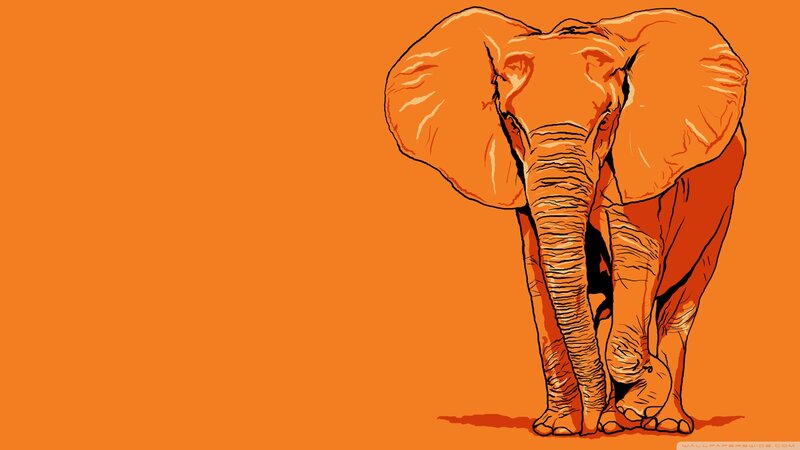 Elephant Illustration — Orange, Minimalist, Orange Background
