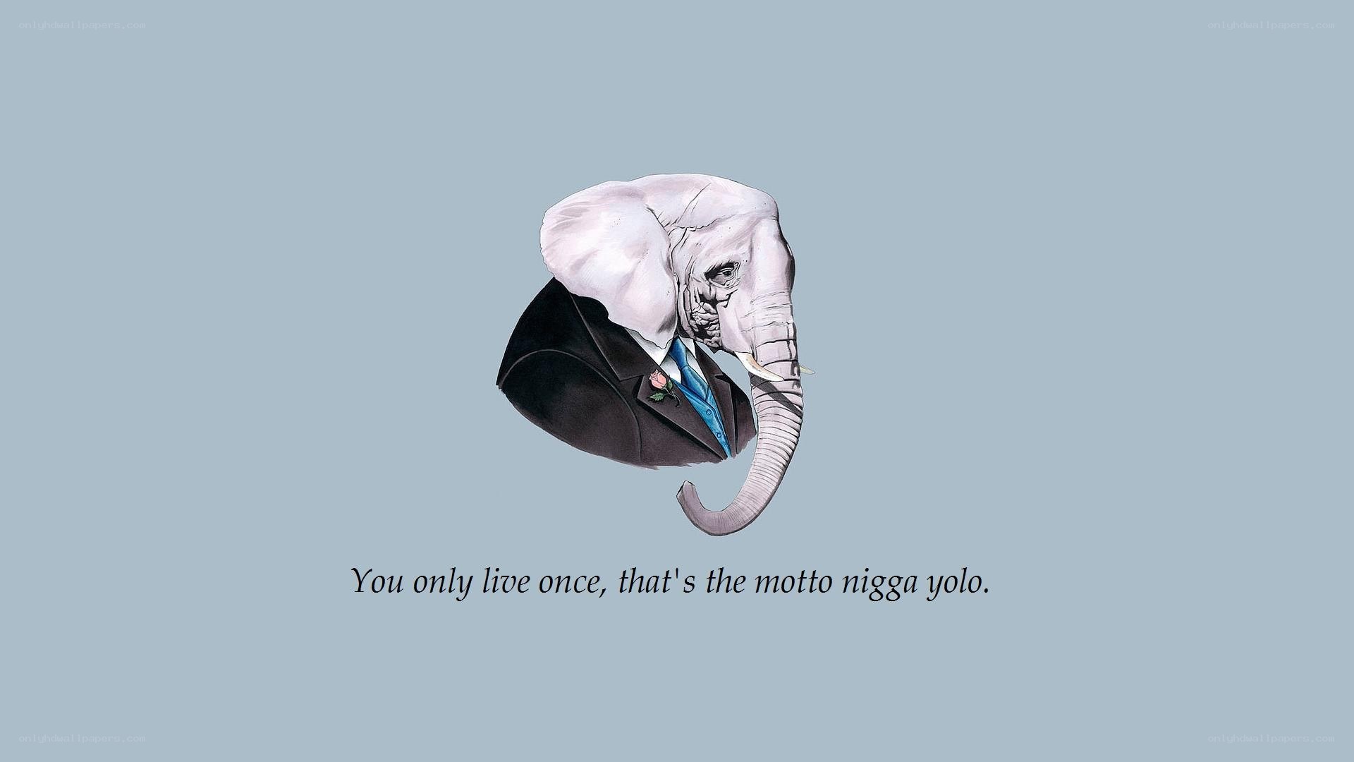 elephant in a suit