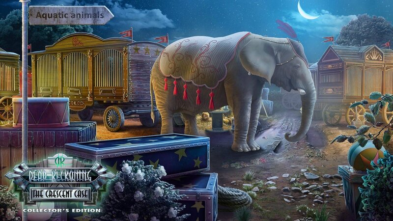 Elephant in Circus